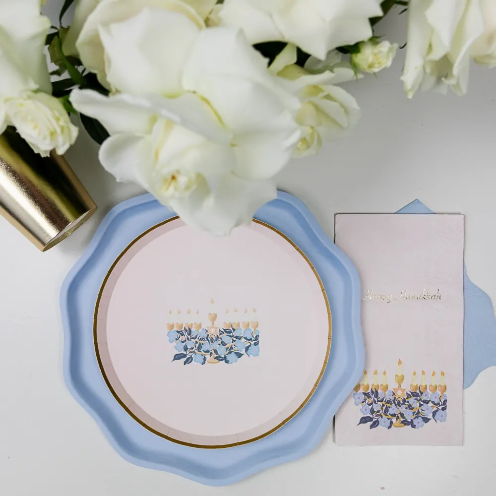 Hot Bonjour Fete Sky Blue Compostable Dinner Plates