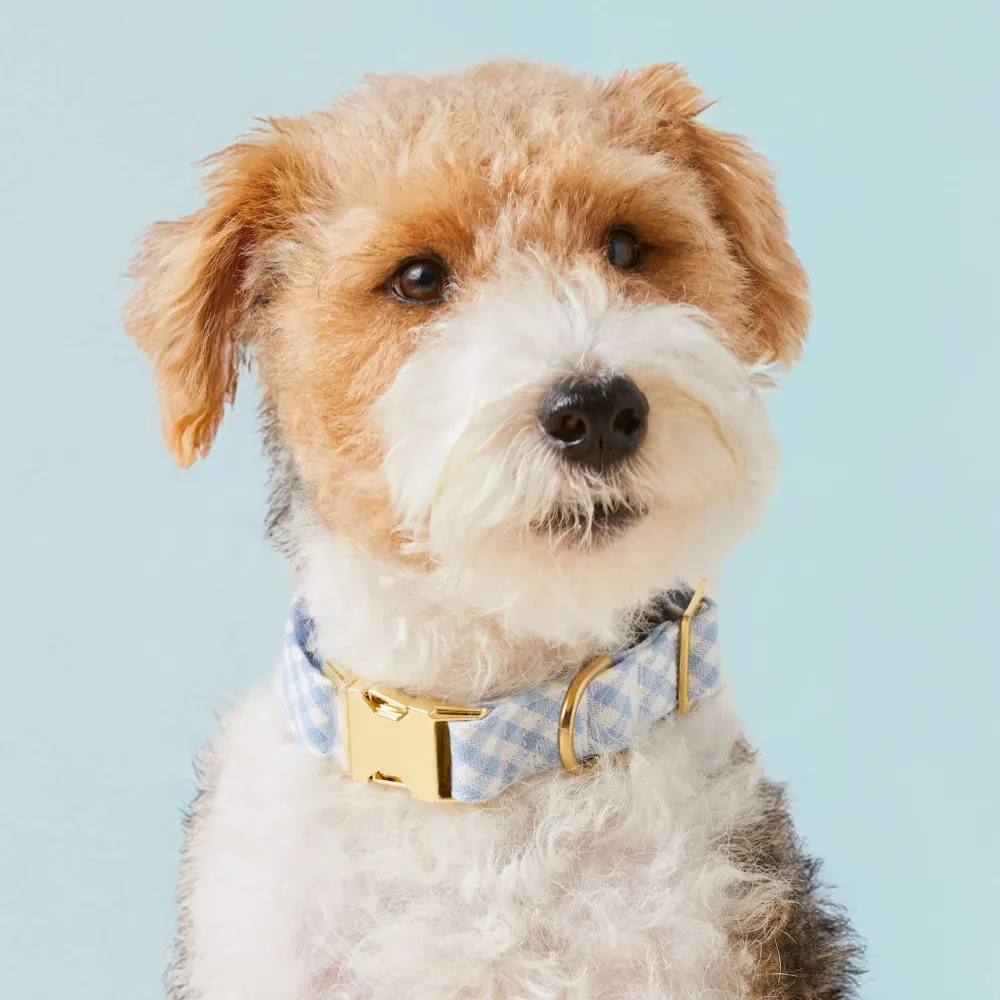 The Foggy Dog Sky Blue Gingham Dog Collar