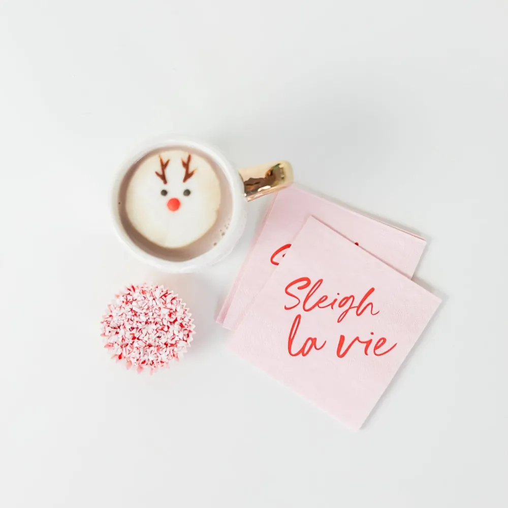 Sale Bonjour Fete Sleigh La Vie Eco Party Kit