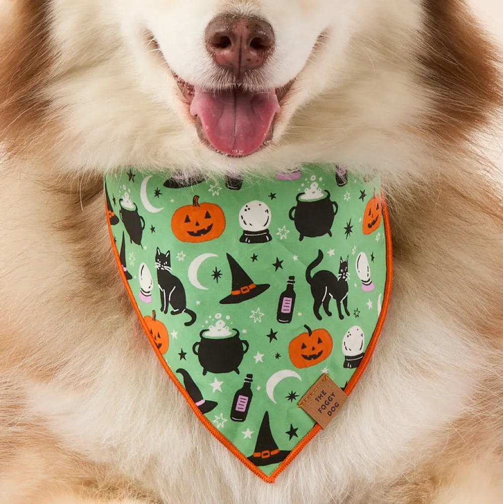 Outlet The Foggy Dog Spellbound Reversible Dog Bandana
