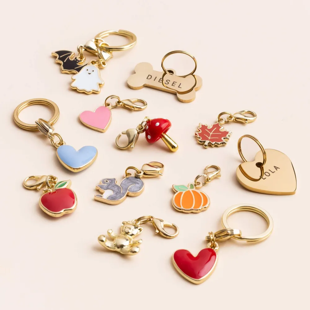 Online The Foggy Dog Spooky Season Collar Charm Set