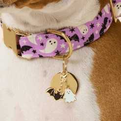 Online The Foggy Dog Spooky Season Collar Charm Set