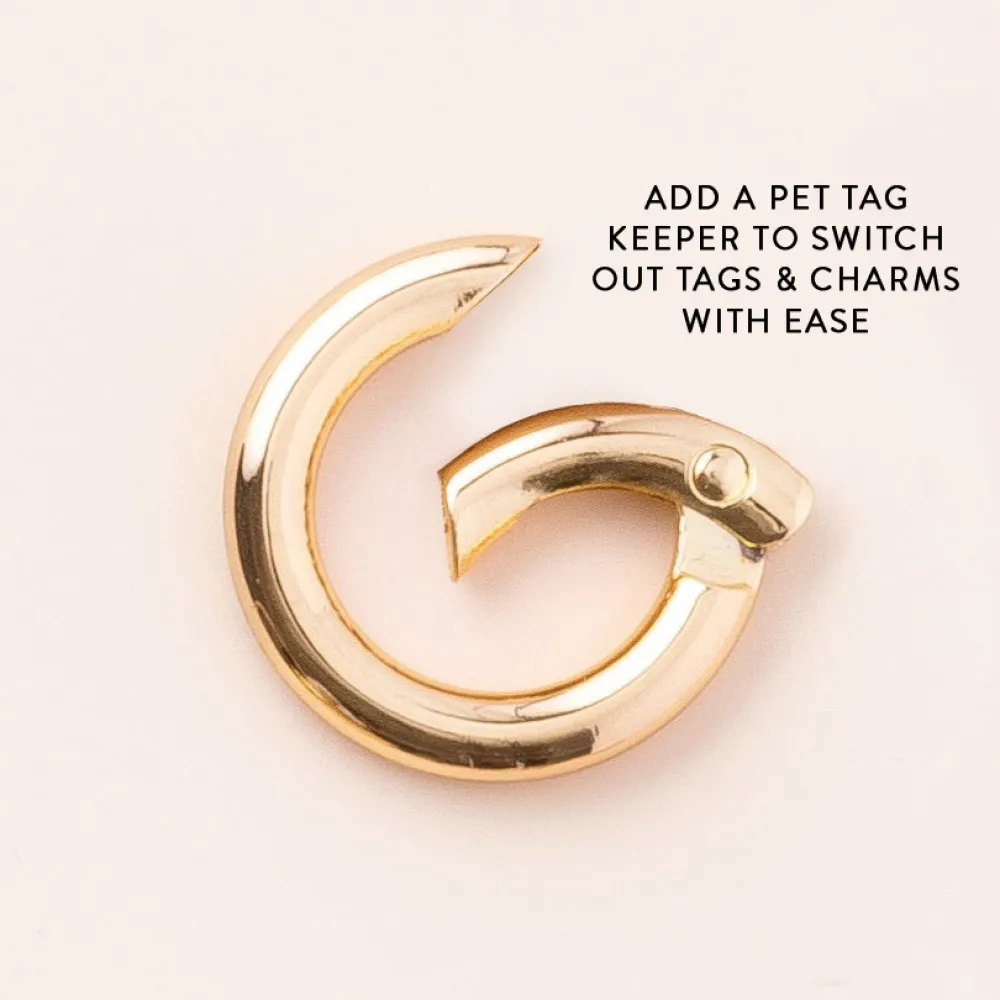 Online The Foggy Dog Spooky Season Collar Charm Set