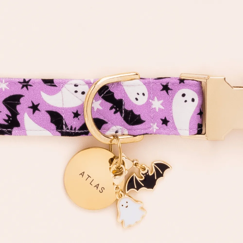 Online The Foggy Dog Spooky Season Collar Charm Set