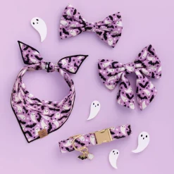 Online The Foggy Dog Spooky Season Collar Charm Set