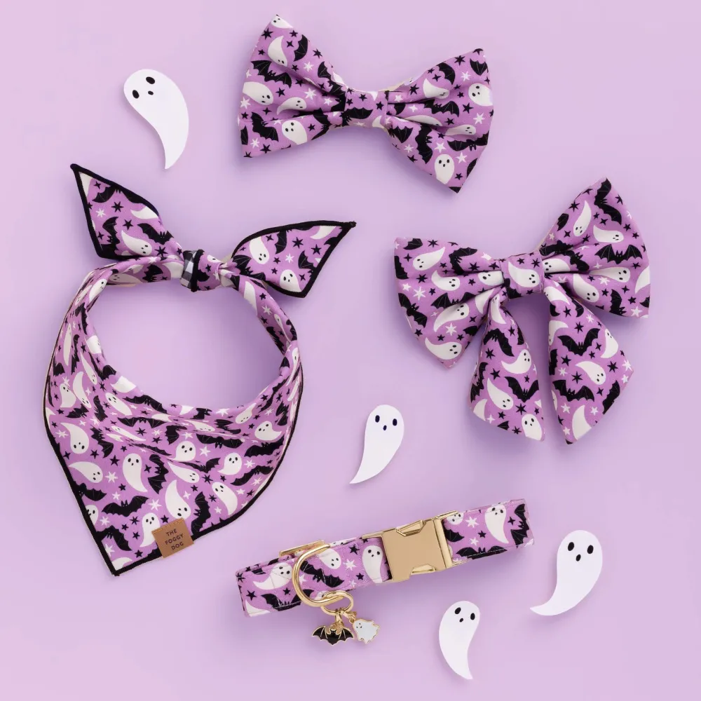 Online The Foggy Dog Spooky Season Collar Charm Set
