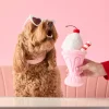New The Foggy Dog Strawberry Milkshake Interactive Snuffle Dog Toy