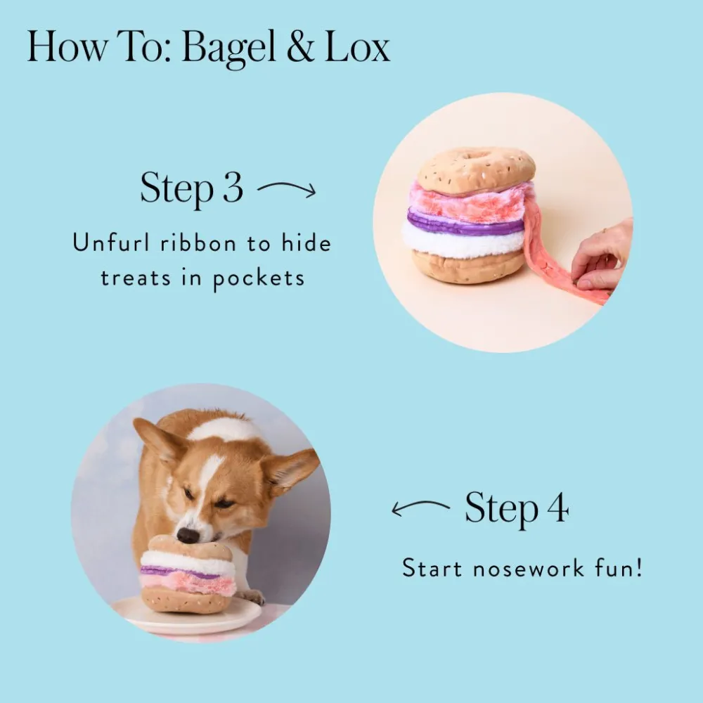 Online The Foggy Dog Sunday Brunch Interactive Dog Toy Set