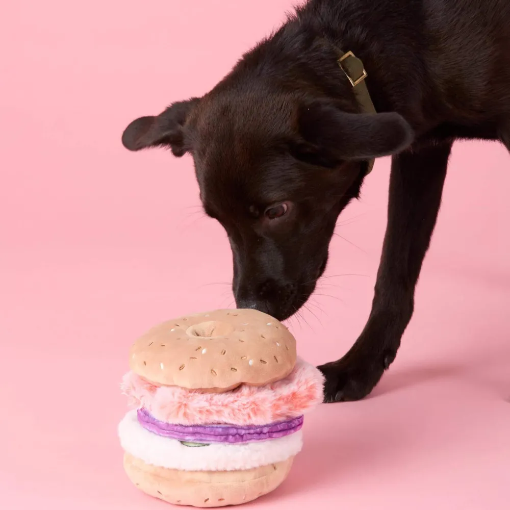 Online The Foggy Dog Sunday Brunch Interactive Dog Toy Set