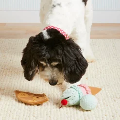 The Foggy Dog Sweet Treats Interactive Dog Toy Set