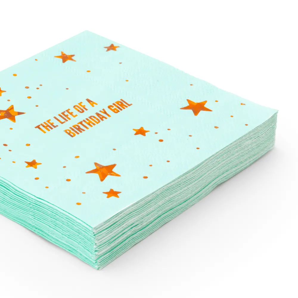New Bonjour Fete The Life of a Birthday Girl Cocktail Napkins