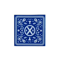 Clearance Bonjour Fete Thomas & Friends™ Small Blue Bandana Napkins