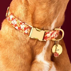 New The Foggy Dog Woodland Collar Charm Set