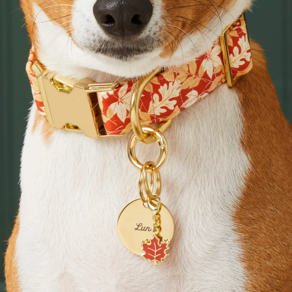 New The Foggy Dog Woodland Collar Charm Set